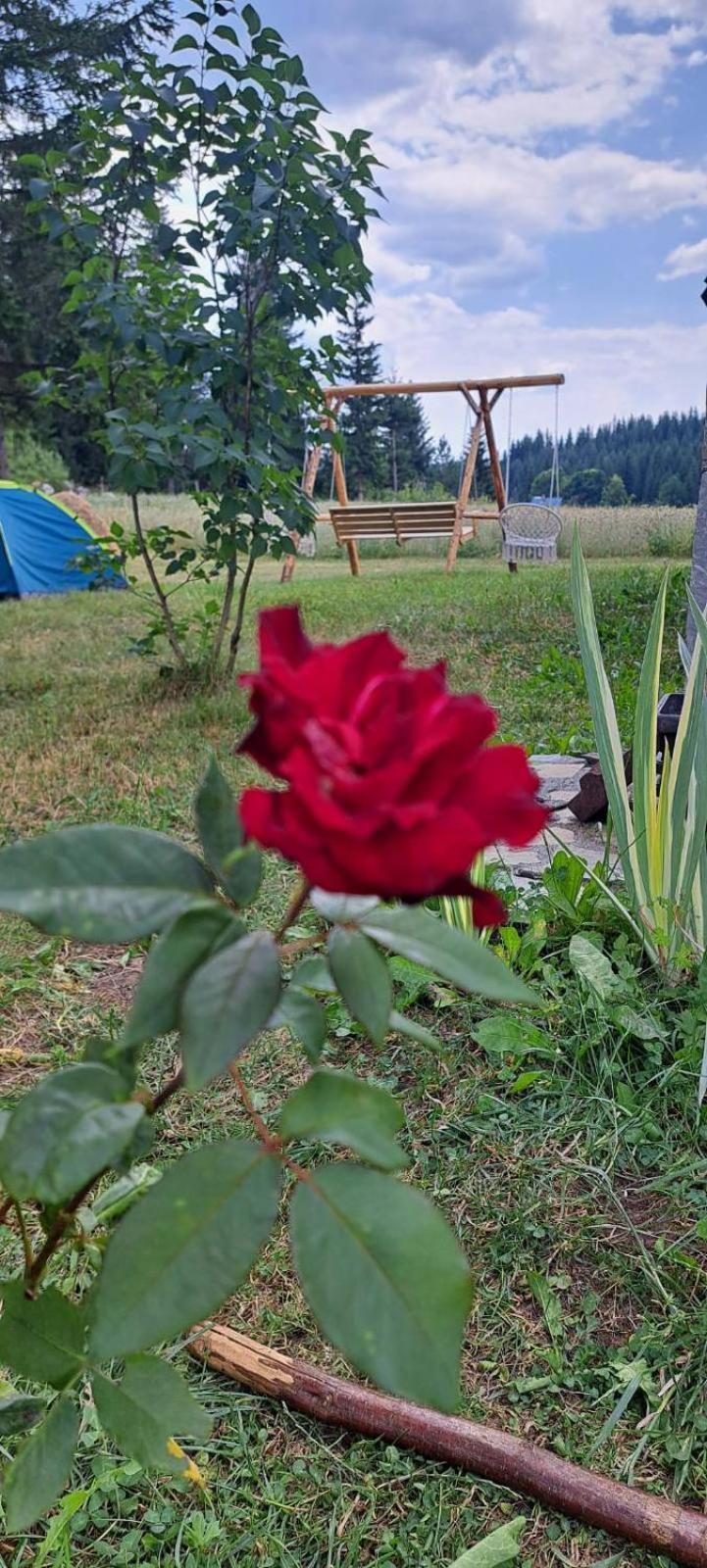 Eco Village Podgora Household Kaljevic Zabljak  Luaran gambar